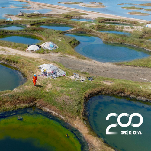 Sheet metal print by Lola Flash