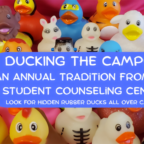 Rubber duckies around the description of the event