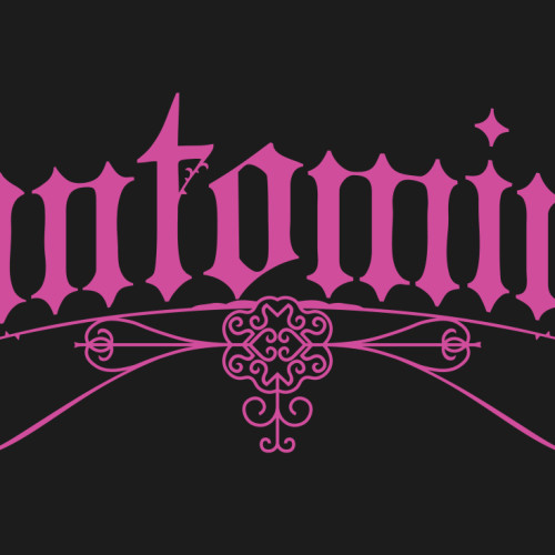 Pantomime: Multi Media Event 2026