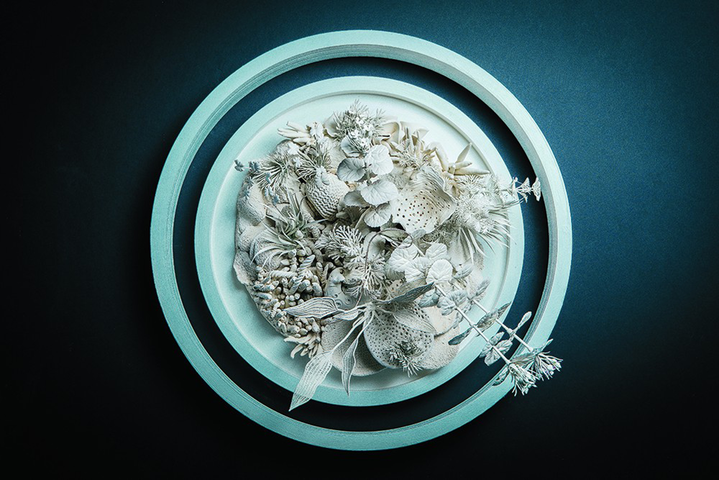 Morel Doucet Full Circle MICA