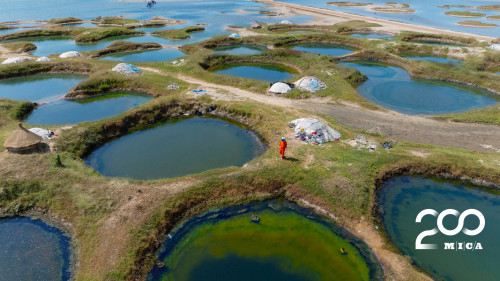 Sheet metal print by Lola Flash