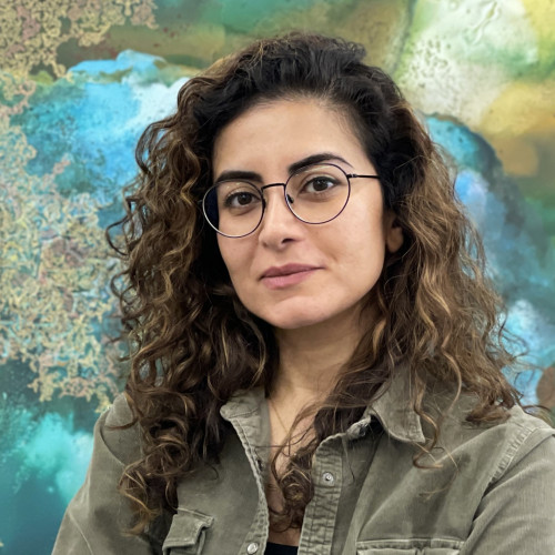 Hedieh Javanshir Ilchi 