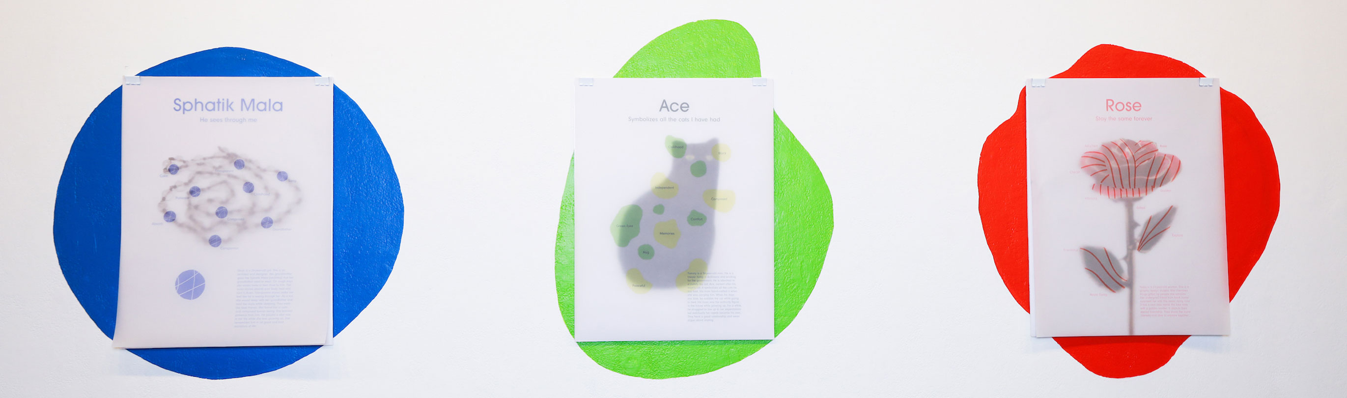 Earn your MA in 18 months