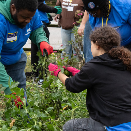 image by Kenny Robinson, Day of Service 2025