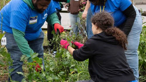 image by Kenny Robinson, Day of Service 2025